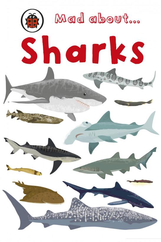 

Mad About Sharks (963409)