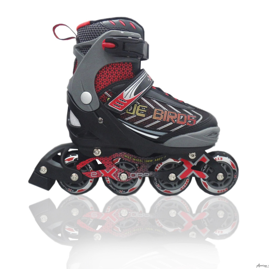 

Ролики Explore BLUE BIRDS 35-38 черный