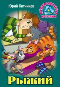 

Рыжий (15236940)