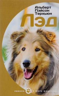 

Лэд (13802031)