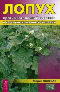 

Лопух против воспалений суставов и почечнокаменной болезни (14543374)