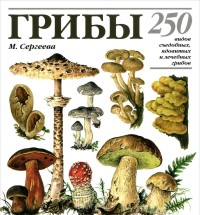 

Грибы. 250 видов съедобных, ядовитых и лечебных грибов (13612997)