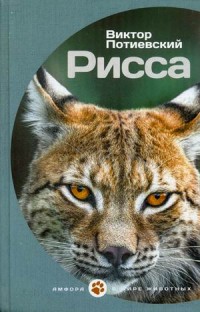 

Рисса (13678576)