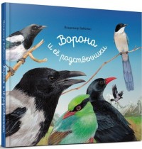 

Ворона и ее родственники (13618629)