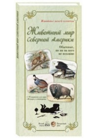 

Животный мир Северной Америки. Обычные, но ни на кого не похожие (13776486)