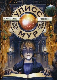 

Лабиринт теней. Книга 9 (14491697)