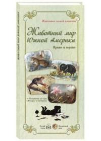 

Животный мир Южной Америки. Яркие и юркие (13776487)