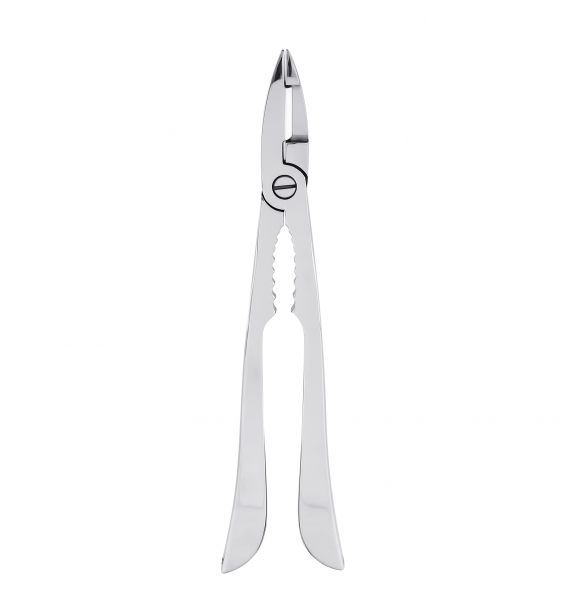 

Щипцы для лобстера Pintinox Esclusivi 074000AG