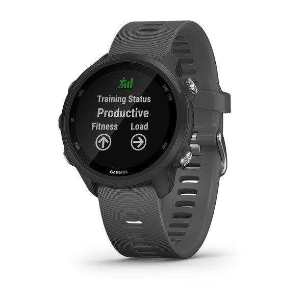 

Годинник Garmin Forerunner 245 Slate Gray