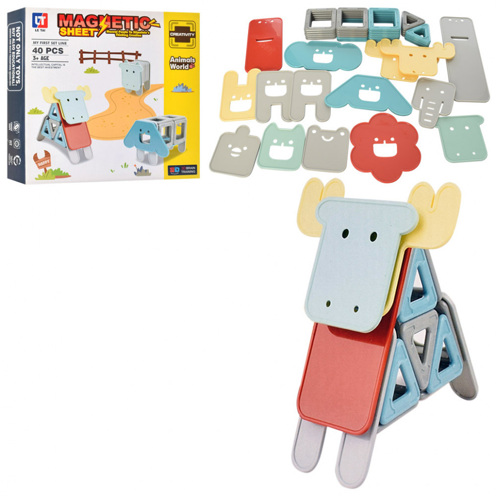 

Магнитный 3D-конструктор Magnetic LT2006