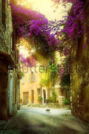

Фотообои ArtSide Прованс (217830052) Штукатурка
