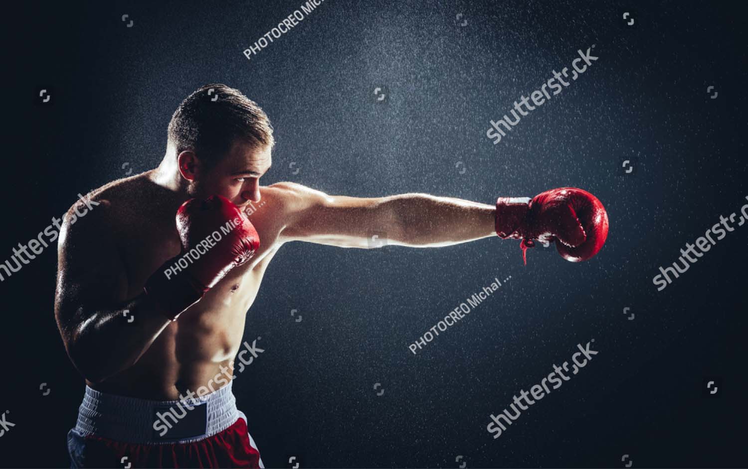 

Фотообои ArtSide Боксер (1154775193) Штукатурка