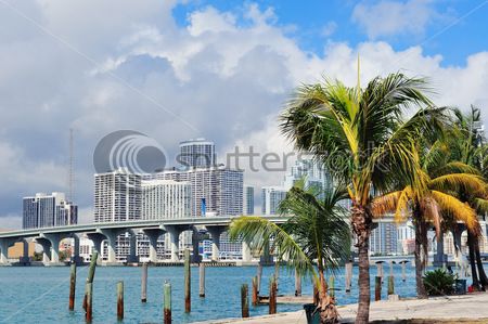 

Фотообои ArtSide Miami (99801872) Штукатурка