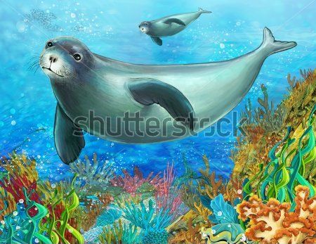 

Фотообои ArtSide Морские котики (134194271) Штукатурка