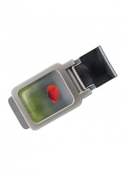 

Зажим для денег Devays Maker DM 01 Алый мак зеленый (SKL47-177311)