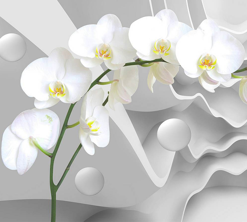 

3D Фотообои флизелиновые DeCors Орхидея на фоне 300x270 см 3 сегмента (181111ф)