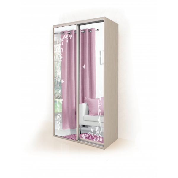 

Двухдверный шкаф купе в гостиную фасад зеркало + художественное матирование 120х60 см Modern