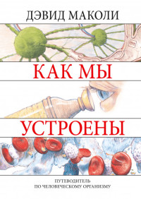 

Как мы устроены. Путеводитель по человеческому организму (15629999)