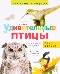 

Удивительные птицы (14233665)