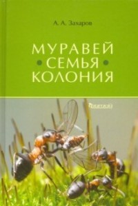 

Муравей. Семья. Колония (15451948)