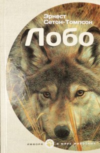 

Лобо (13987439)
