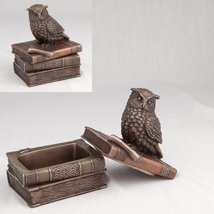 

ШКАТУЛКА «СОВА НА КНИГАХ Q1» 12 см Veronese 3136-BR-1182