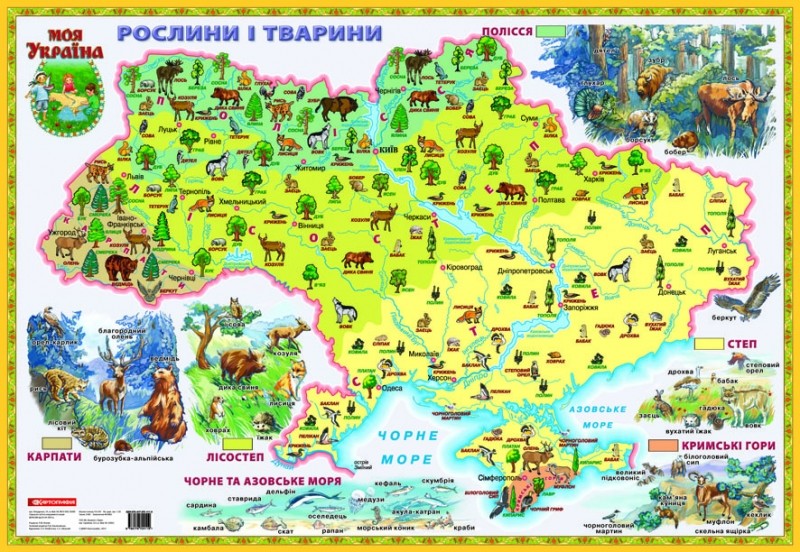 

Карта «Моя Украина. Растения и животные» Blue