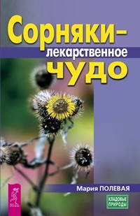 

Сорняки - лекарственное чудо (15156344)