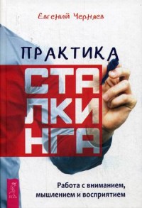 

Практика сталкинга. Работа с вниманием, мышлением и восприятием (15643330)