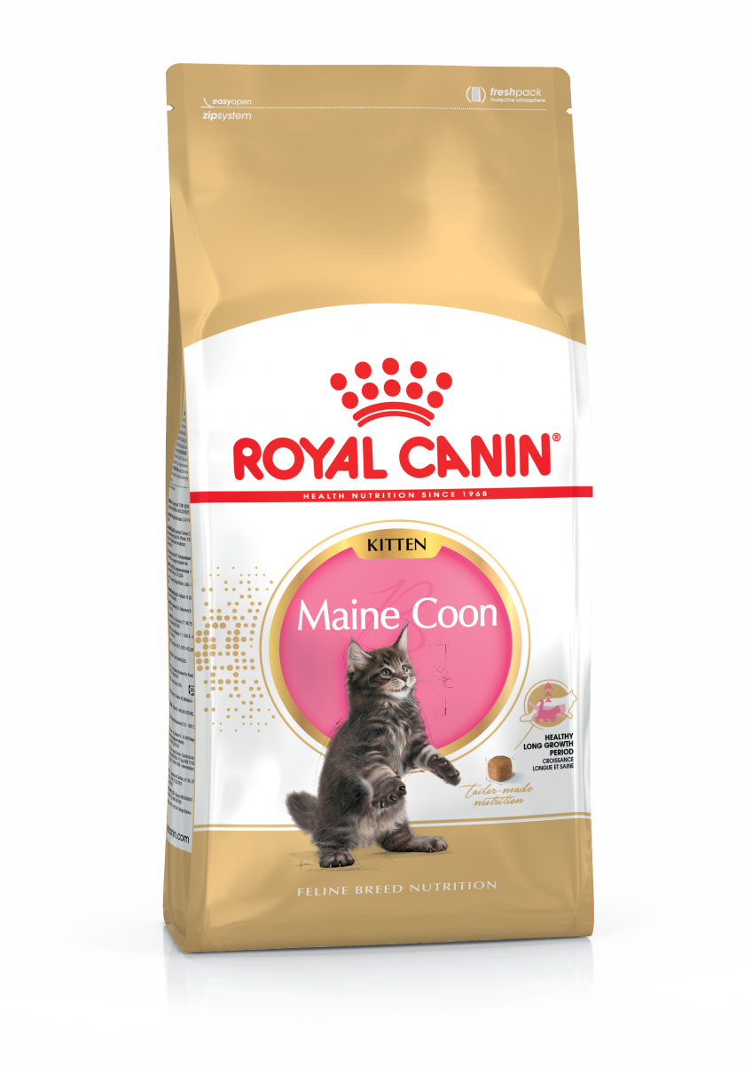 

Сухой корм для котят Royal Canin Maine Coon Kitten 4 кг