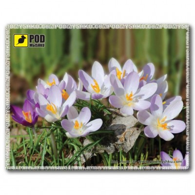 

Килимок Pod Mishkou Весна-Крокусы