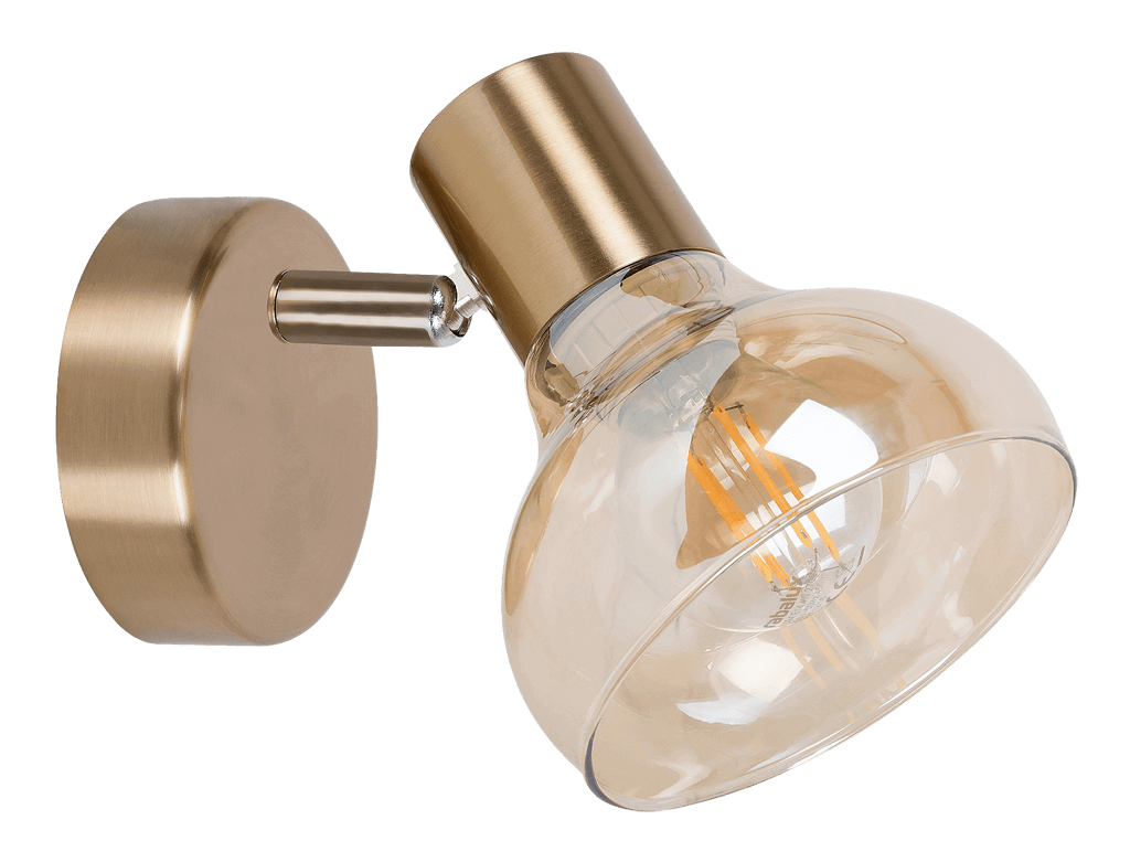 

Спот Rabalux 5546 Holly