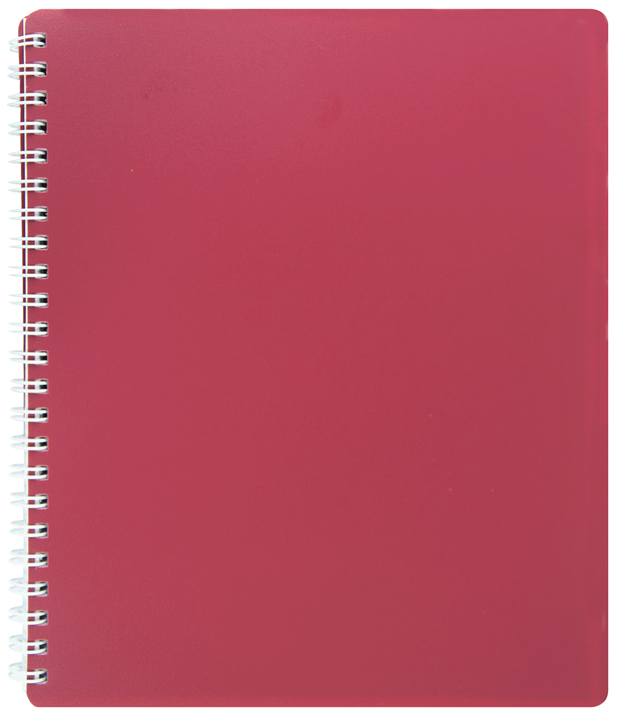 

Набор тетрадей 5 шт Buromax Classic B5 в клетку 80 листов Красный (BM.2419-005)