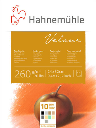 

Блок для пастели Hahnemuhle Velour 10 цветов 260г 24х32см