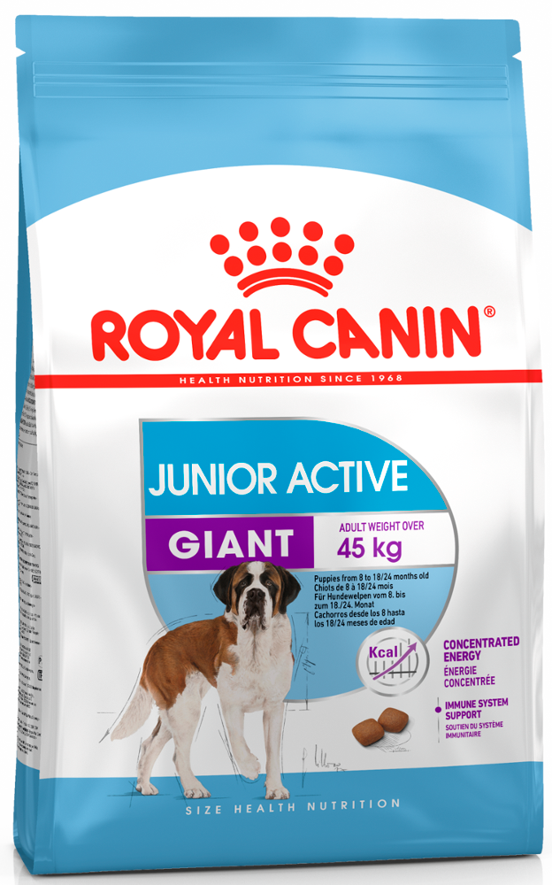 

Сухой корм Royal Canin Giant Junior Active для щенков гигантских пород с высокими энергетическими потребностями старше 8 месяцев, 15 кг