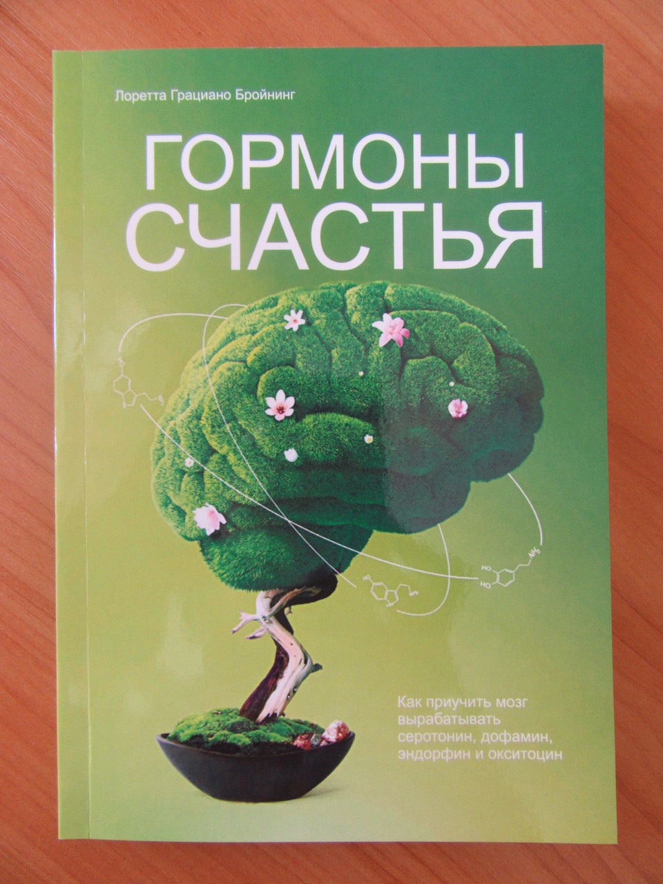 

Лоретта Грациано Бройнинг. Гормоны счастья. Как приучить мозг вырабатывать серотонин, дофамин, эндорфин