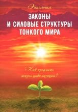 

Законы и силовые структуры Тонкого мира. Как продлить жизнь цивилизации