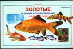 

Золотые и другие холодноводные аквариумные рыбки (12758219)