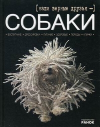 

Наши верные друзья - собаки