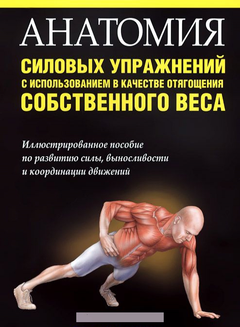 

Анатомия силовых упражнений с использованием в качестве отягощения собственного веса