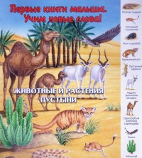 

Животные и растения пустыни (13549062)