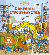 

Секреты строительства (14773154)