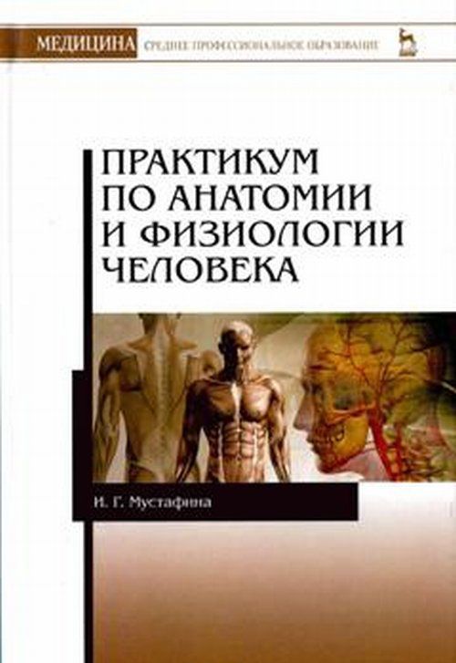 

Практикум по анатомии и физиологии человека. Учебное пособие (1614635)