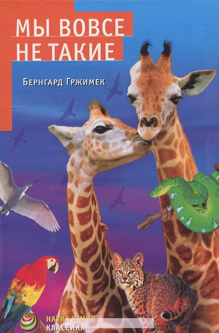 

Мы вовсе не такие
