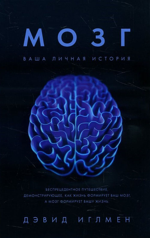 

Мозг. Ваша личная история - Дэвид Иглмен (978-5-389-14945-8)