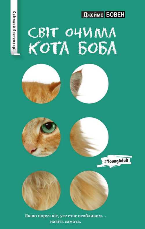 

Світ очима кота Боба (серійна) - Джеймс Бовен (9789669171528)