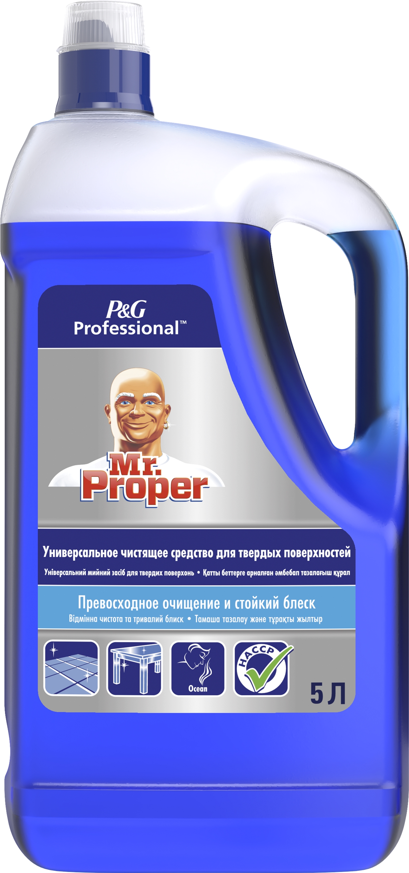Акція на Универсальное чистящее средство Mr. Proper Professional Океан 5 л (8001841884004) від Rozetka UA