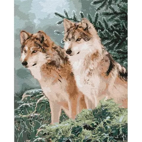 

Картина по номерам. "Волчий взгляд" 40*50см KHO4191