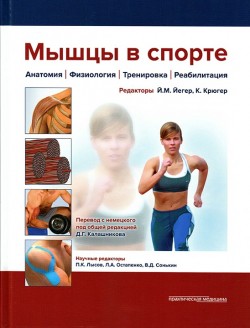

Мышцы в спорте. Анатомия. Физиология.Тренировки. Реабилитация