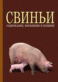 

Свиньи: содержание, кормление и болезни